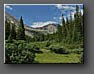 Grizzly Gulch