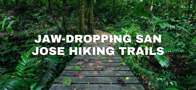 Jaw-Dropping San Jose Hiking Trails
